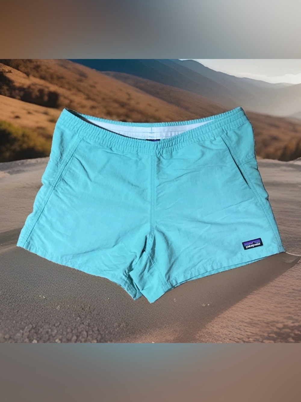 Patagonia Women's Size XSmall Blue Print Nylon 4" Linerless Baggies Shorts Beach